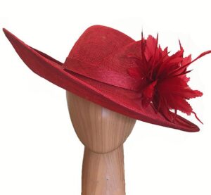 Marva red feather dress
